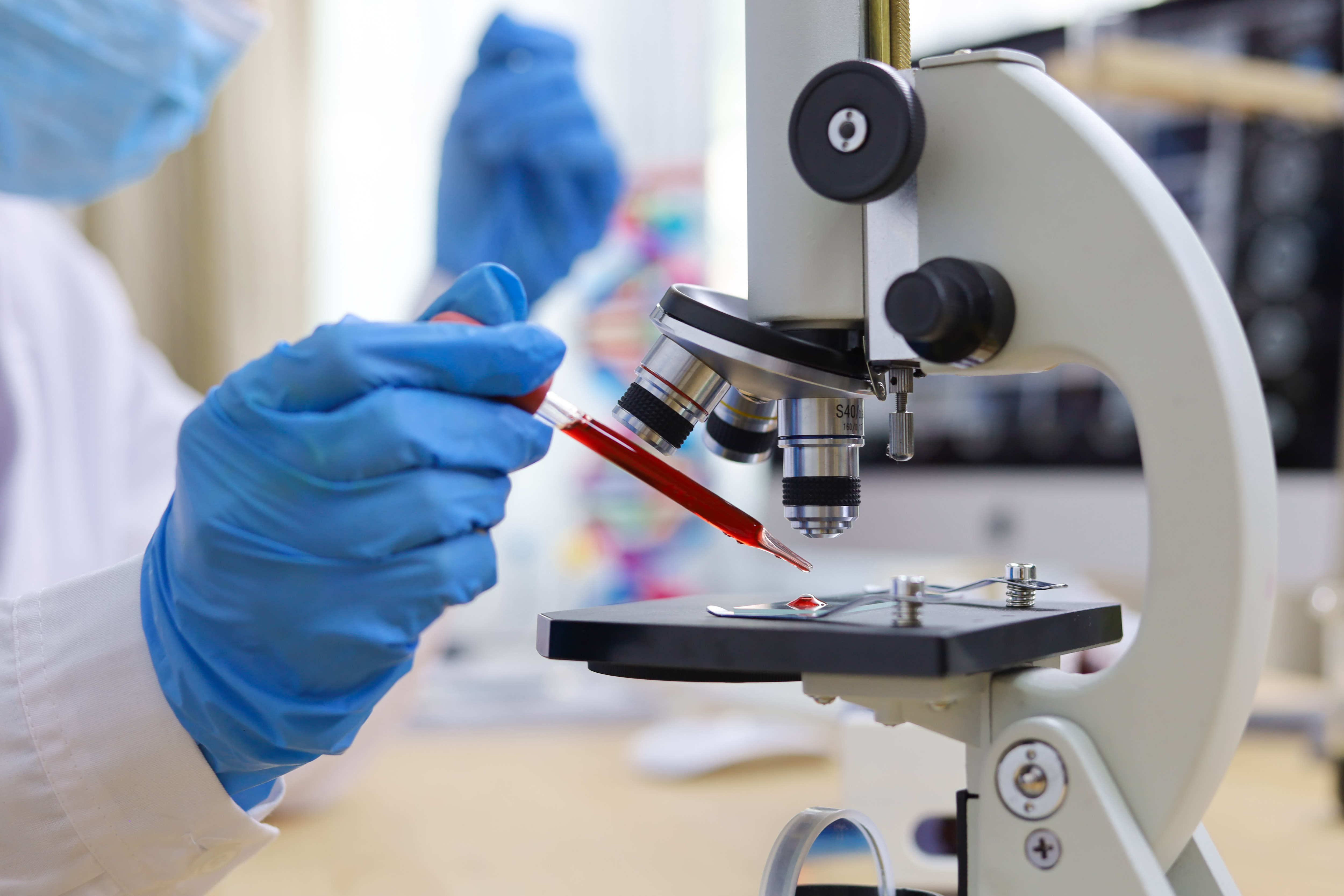 Examining red liquid sample with a microscope